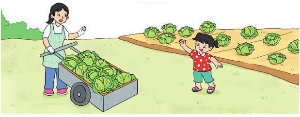 Bài 6 Toán lớp 2 trang 65 sách Cánh Diều