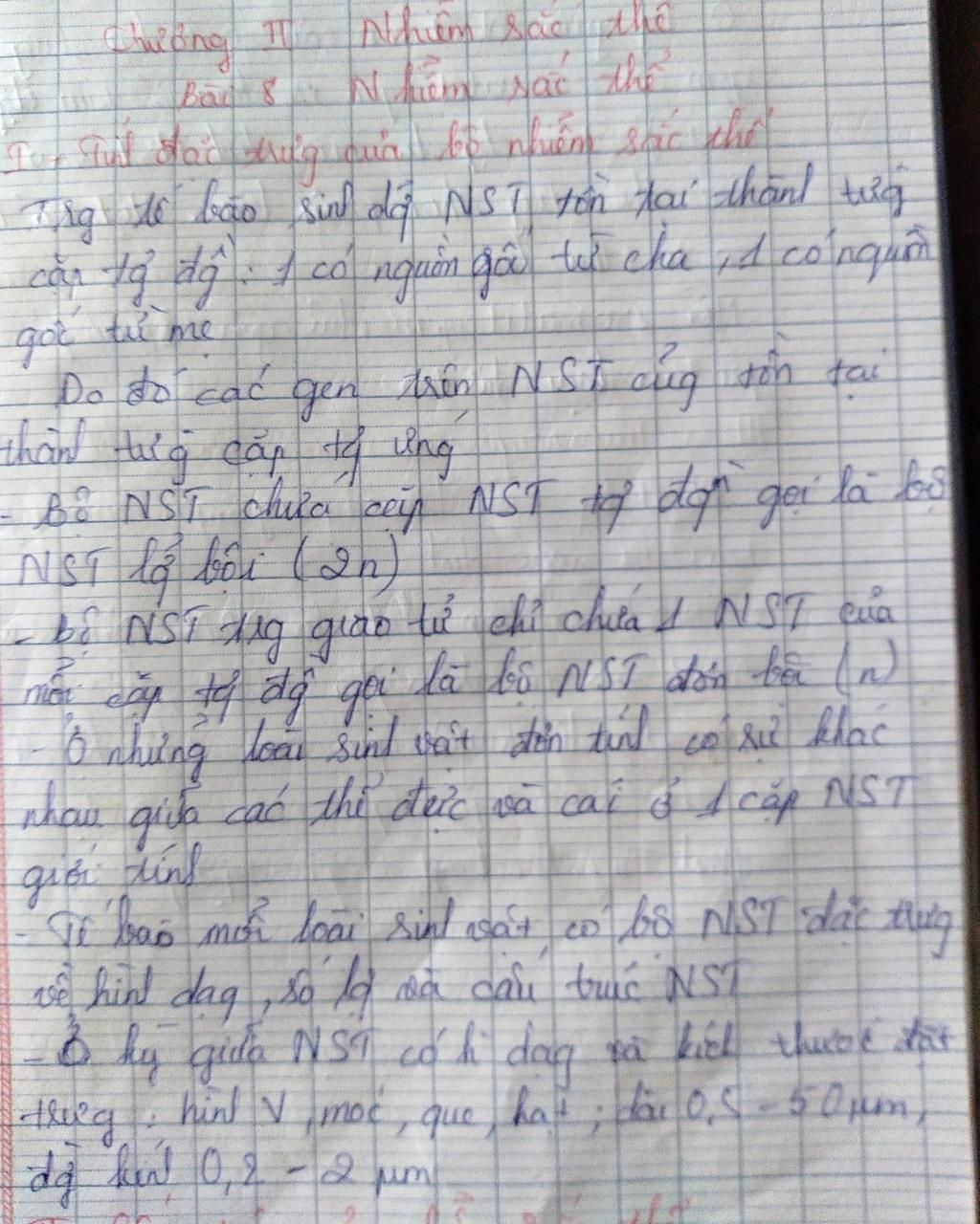 Bộ NST của mỗi loài đặc trưng bởi những yếu tố nào? Cấu trúc của 1 NST điển hình?