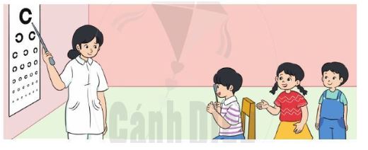 Bài 5 trang 51 Toán lớp 2 tập 1 Cánh Diều