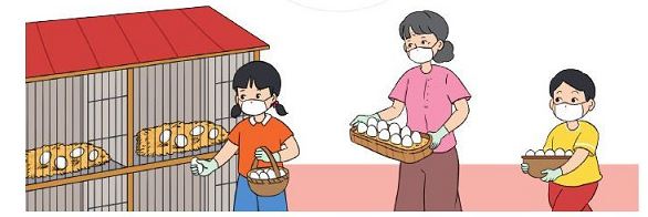 Bài 4 Toán lớp 2 trang 67 sách Cánh Diều