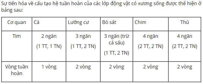 Trình bày sự tiến hóa thể hiện ở cấu tạo của hệ tuần hoàn giữa các lớp trong ngành ĐVCXS