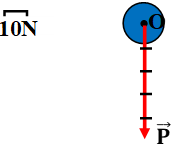 Bài C2 trang 16 SGK Vật Lý 8