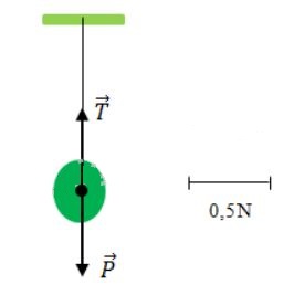 Bài C1 trang 17 SGK Vật Lý 8