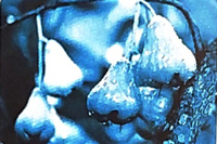 Bài 12: Danh sách học sinh