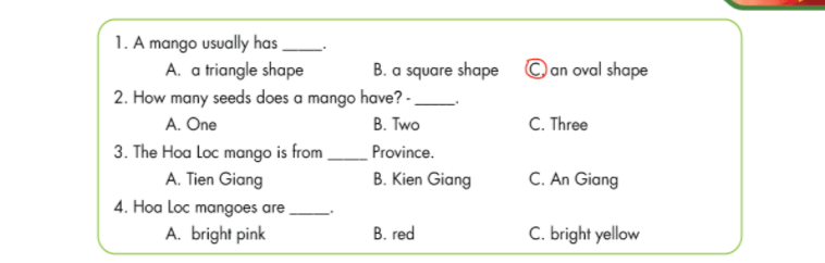 Smart World 7 Workbook giải bài tập Unit 3 Lesson 4