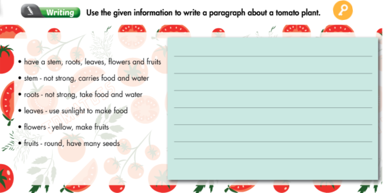 Smart World 7 Workbook giải bài tập Unit 3 Lesson 4
