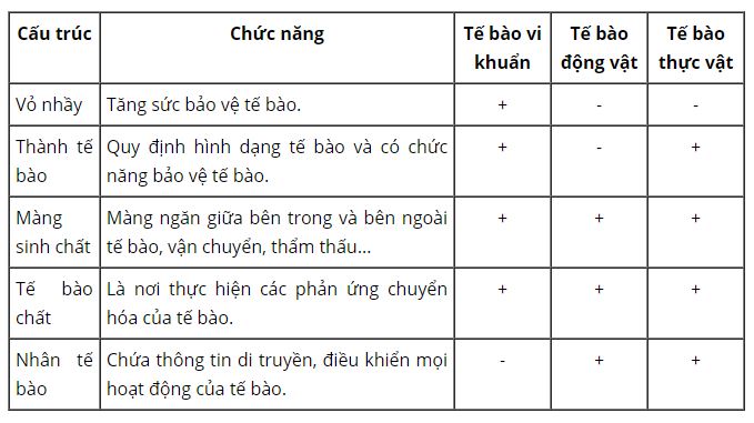 Ho&agrave;n th&agrave;nh bảng sau bằng c&aacute;ch điền dấu (+) nếu c&oacute; hoặc điền dấu (-) nếu kh&ocirc;ng c&oacute;