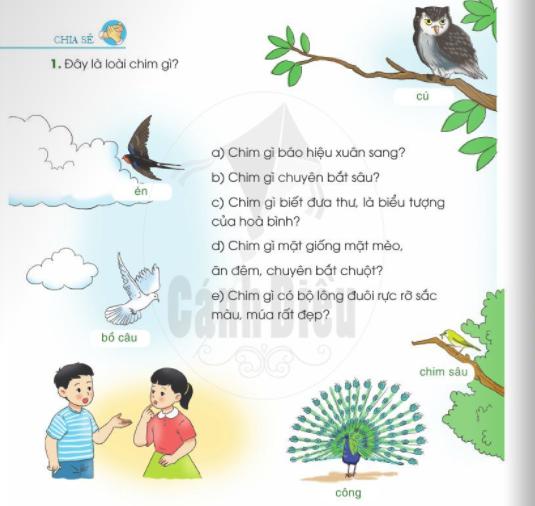 Giáo án môn Tiếng Việt lớp 2 Sách Cánh Diều - Tuần 24