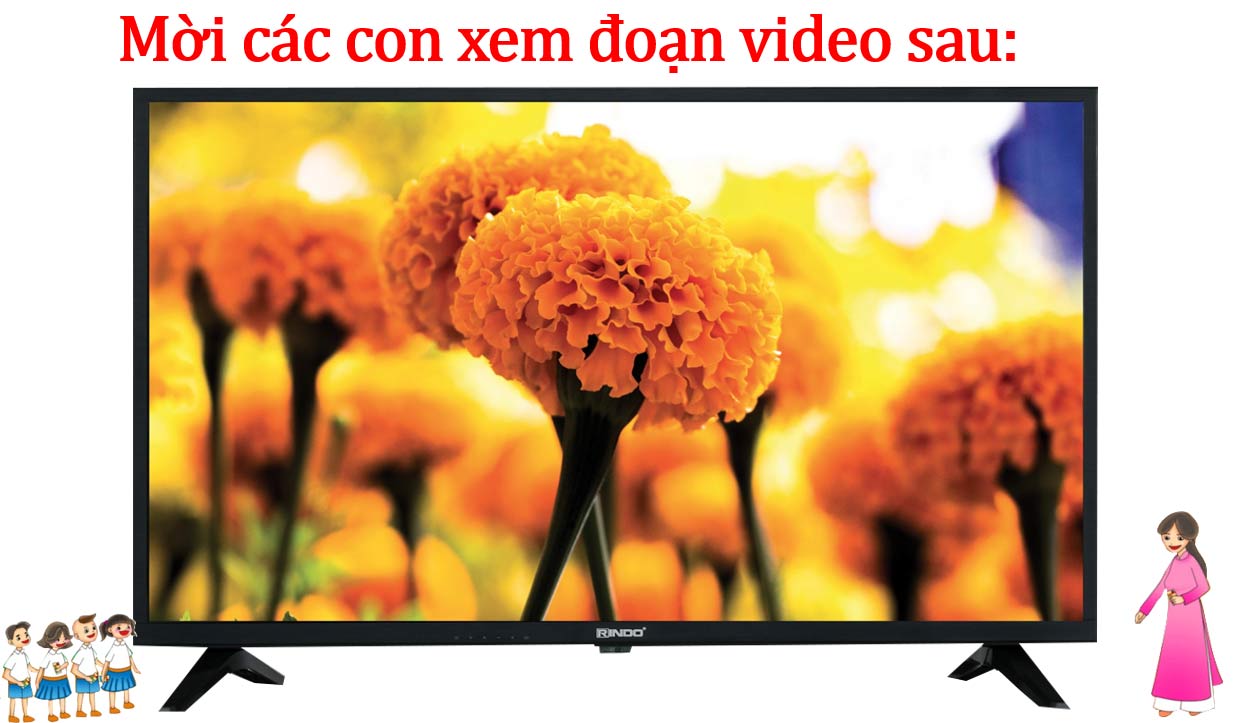 Mẫu PowerPoint tìm hiểu lịch sử ngày 20/11