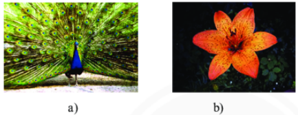 Toán lớp 6 bài 3 Chương 7 Chân trời sáng tạo