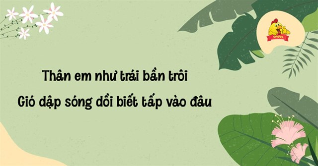 Thân em như trái bần trôi, Gió dập sóng dồi biết tấp vào đâu - Phát biểu cảm  nghĩ về bài ca dao Thân em như trái bần trôi - VnDoc.com