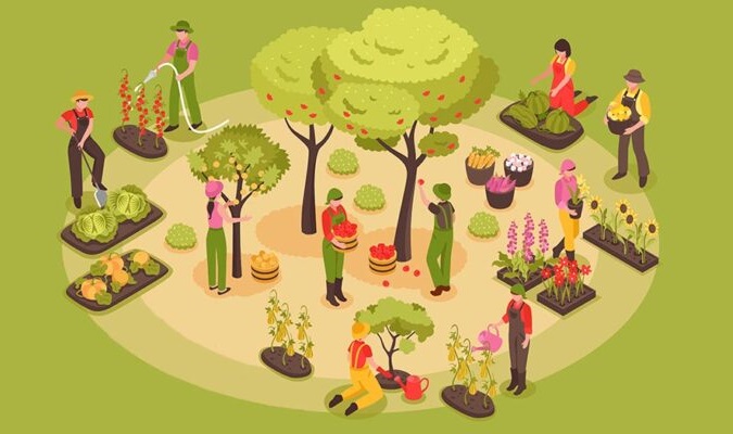 Cách bón thúc cho những loại cây trồng khác nhau