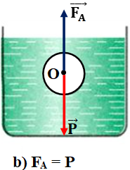 Bài C2 trang 43 SGK Vật Lý 8