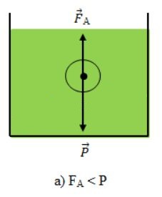 Bài C2 trang 43 SGK Vật Lý 8