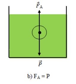 Bài C2 trang 43 SGK Vật Lý 8