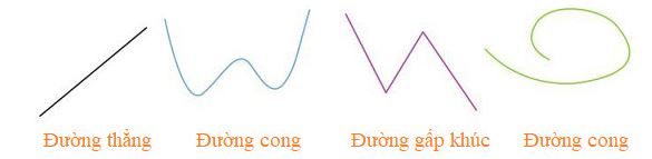 Bài 4 trang 101 SGK Toán lớp 2 tập 1 Cánh Diều