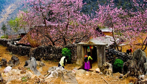 Văn tả mùa xuân lớp 7