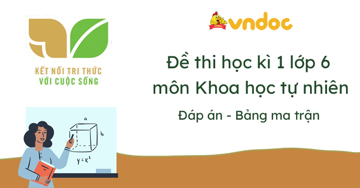 Bộ đề thi học kì 1 Khoa học tự nhiên lớp 6 Kết nối tri thức năm 2024 - 2025