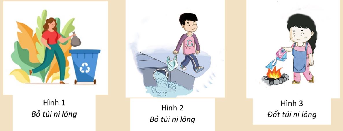 Đáp án cuộc thi Trường học xanh 2021