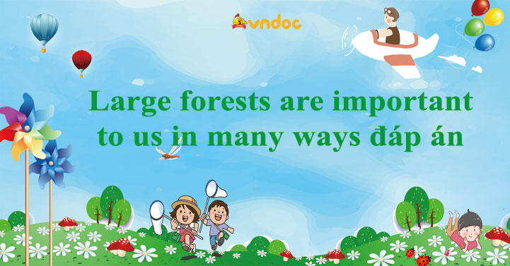 Large forests are important to us in many ways đáp án