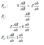 Giải thích kết quả của các phép lai và viết sơ đồ lai từ P tới F2