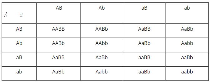 Cho biết kết quả về kiểu gen v&agrave; kiểu h&igrave;nh