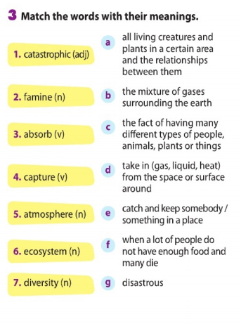 Soạn Tiếng Anh Unit 6 lớp 11: Skills