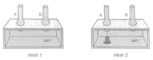 Giải VBT Khoa học lớp 4 bài 37