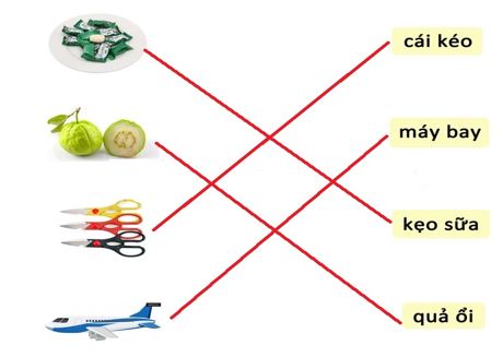 Bài tập nghỉ Tết Tiếng Việt 1 sách Chân trời