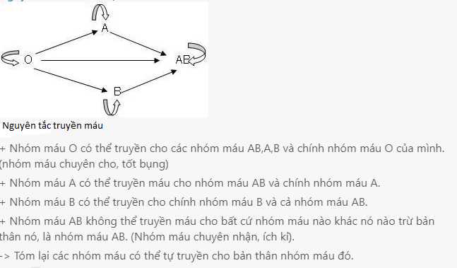 Vẽ sơ đồ truyền máu. Nguyên tắc truyền máu?