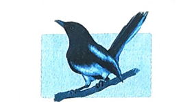 Bài 2: Con suối bản tôi