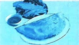 Bài 2: Con suối bản tôi