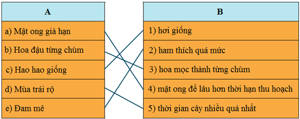 Bài 22A: Hương vị hấp dẫn