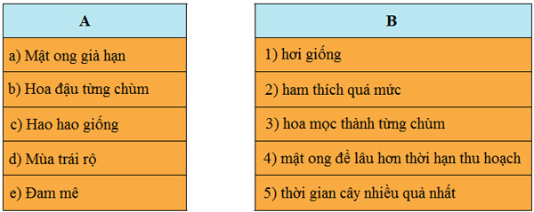 Bài 22A: Hương vị hấp dẫn