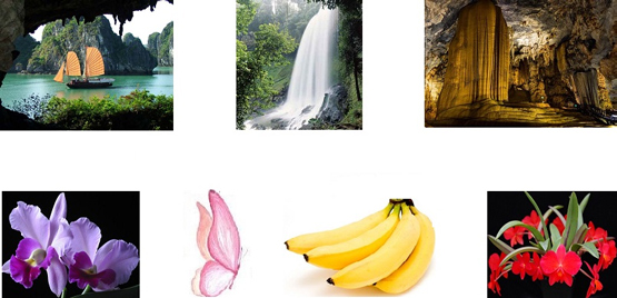 Bài 22B: Thế giới của sắc màu