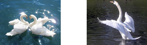 Hoạt động thực hành Bài 22B Tiếng việt lớp 4 VNEN