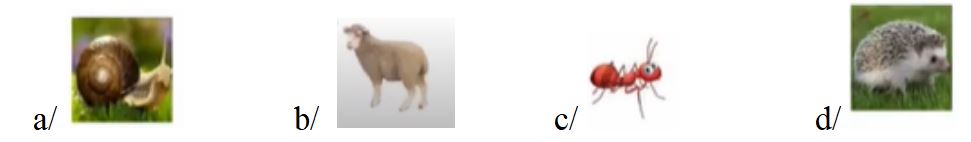 Trạng Nguyên Tiếng Việt lớp 1