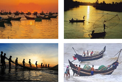 Bài 24B: Vẻ đẹp của lao động