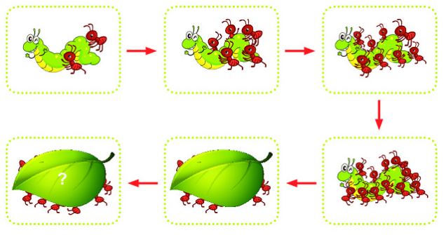 Bài 4 (trang 116 SGK Toán 2 tập 1)