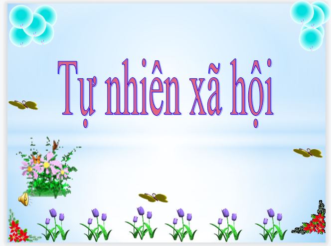 Sản phẩm cuối khóa module 9 môn Tự nhiên xã hội