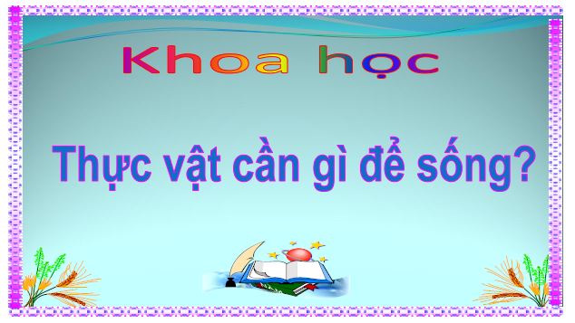 Sản phẩm cuối khóa module 9 môn Khoa học