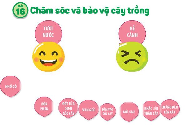 Sản phẩm cuối khóa module 9 môn Tự nhiên xã hội