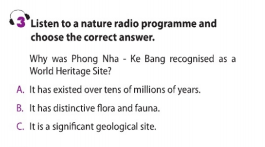 Unit 8 lớp 11 Listening