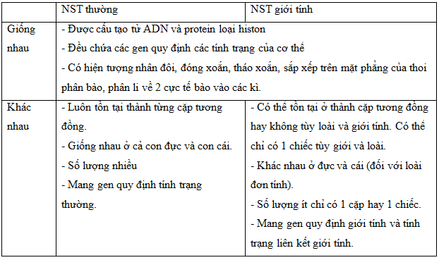 so sánh NST thường