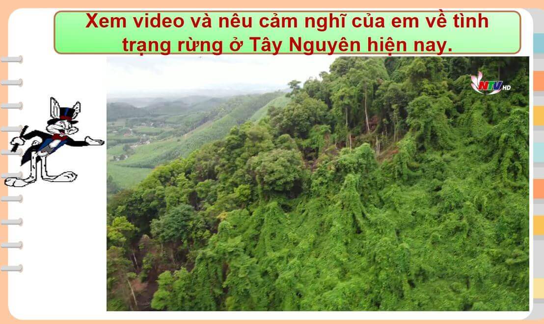 Bài tập cuối khóa Module 9 môn Lịch sử - Địa lý