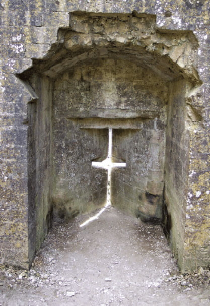 Hình ảnh lỗ châu mai