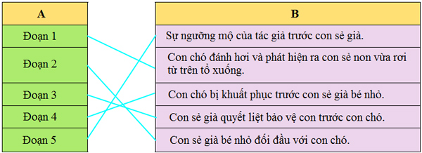 Bài 27B: Sức mạnh của tình mẫu tử