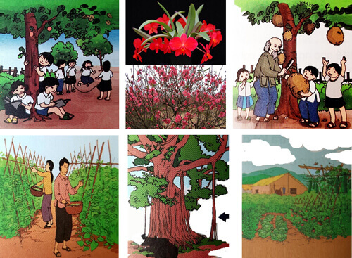 Bài 27B: Sức mạnh của tình mẫu tử