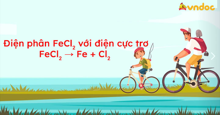 FeCl2 → Fe + Cl2 - FeCl2 ra Fe - VnDoc.com