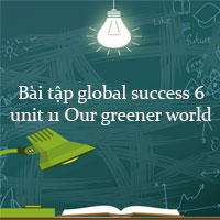 Bài tập tiếng Anh lớp 6 global success unit 11